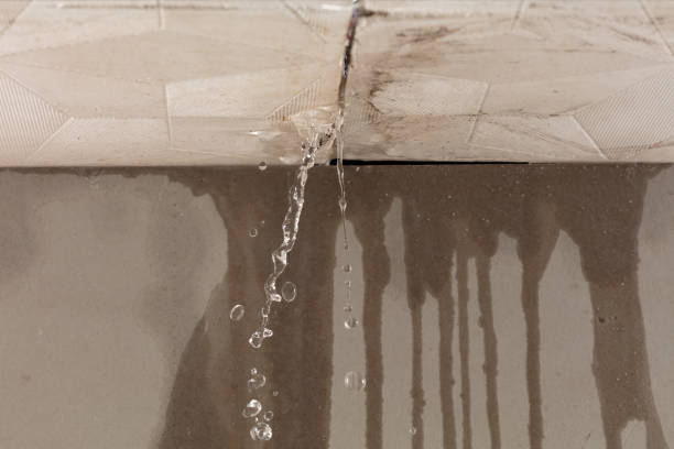 Professional Sewage Cleanup technician working in Versailles, IN